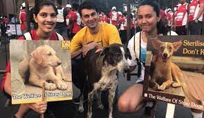 Check spelling or type a new query. These Are The Best Animal Shelters In Mumbai Whatshot Mumbai