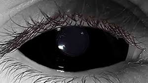 Black And White Contacts Fda Approved Black Over Sized Contact Lens Costume Contact Lenses Halloween Contacts Cat Eye Contacts