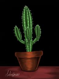 6 como regar y abonar el echinopsis pachanoi cristata. Esp Eng Dibujando Un Captus Drawing A Captus Peakd