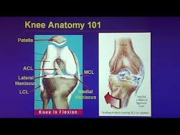 People interested in this subject often clicked these. Common Traumatic Knee Injuries Oh My Aching Knee Youtube
