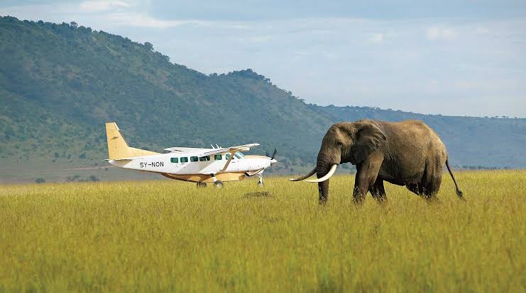 Bush Flights on African Safari - Turkana Wildlife Safaris