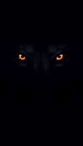 Maybe you would like to learn more about one of these? Black Aesthetic Black Nice Wallpaper For Iphone Novocom Top
