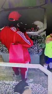 We received a number of reports where users were asked to send money abroad. Man Caught On Camera Stealing A Shihtzu Puppy From Animal House Cincinnati Pet Store Wkrc