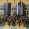 So i searched for faux window box filler, and while there's not a massive selection like you find for indoor faux flowers, there's still a decent selection have you ever filled your window boxes with faux flowers and greenery? Https Encrypted Tbn0 Gstatic Com Images Q Tbn And9gcrdokhytje8iilue 5tlkgm72tvmkh7esjgjckz6r5f66jrc939 Usqp Cau