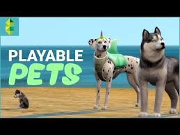 Pets. here are some helpful tips to get them to breed faster. Top 10 Sims 4 Best Pet Mods That Are Fun Gamers Decide