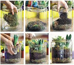 For most plants, you'll want a spot that receives indirect sunlight. 5 Steps To Gorgeous Homemade Terrariums The Boston Globe