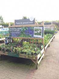 The Garden Centre Group Wyevale Shenstone Lichfield Garden Centre Horticulture Out Garden Center Displays Garden Nursery Organic Raised Garden Beds