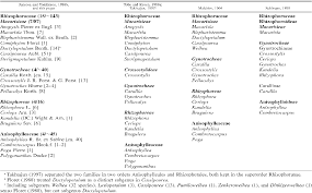 Image result for Anisophylleaceae