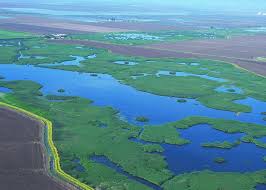 The soils usually consist of clays, silts, sands, and gravels deposited during floods. Eagles Floodplains And Permaculture Permaculture Skills Center
