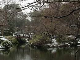 Winter Freeze Mid Feb In The Fort Worth Japanese Garden Japanese Garden Garden Images Garden Features