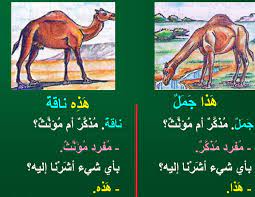 It is one of the most commonly used acronyms in online chat and texting. Definite Demonstrative Nouns In Arabic Arabic Language Blog