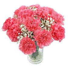 Pink Carnations Flower Delivery Brought To You By Clare Florist Carnation Flower Online Flower Delivery Flower Delivery
