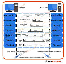 A protocol in the networking terms is a kind of negotiation and rule in between two networking entities. Seven Layers Of Osi Model And Functions Of Seven Layers Of Osi Model
