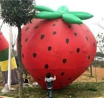 Amazon.com: MAFLEN 3M advertising inflatable strawberry ...