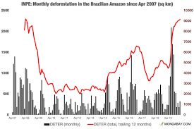 Rapid Deforestation Of Brazilian Amazon Could Bring Next Pandemic Experts