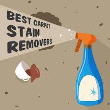 carpet sn removers 2020 reviews