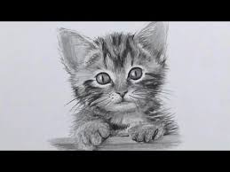 Vous pourrez ainsi choisir votre fourrure favorite quand vous allez colorier ! Le Dessin Realiste Est Une Source D Inspiration Et D Admiration Pour Tous C Est Le Style De Dessin Le P Dessin Chaton Comment Dessiner Un Chat Dessin De Chien