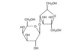 Image result for Lactulose