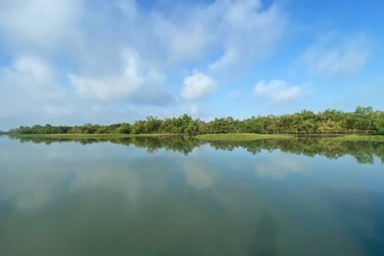 Sundarbans National Park Image 1