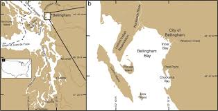 F 13 high 4:31 am 8.7 5:23 am rise 6. Rapid Deterioration Of Sediment Surface Habitats In Bellingham Bay Washington State As Indicated By Benthic Foraminifera Sciencedirect