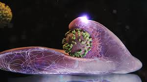 Image result for Virus