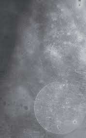 Fall Choral Festival 2024" program by csuf_COTA