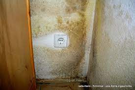 Sch dlicher schimmel hinter schrank entfernen. Schimmelsanierung Pravention Radia Therm Genial Einfach Einfach Genial