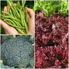 We did not find results for: What To Plant In July Perfect Vegetables For July Homestead Acres