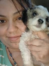 Lost Dog Penelope in Bakersfield