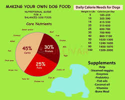 Making Your Own Dog Food Survival Sullivan