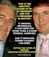 Donald Trump Is Not My President