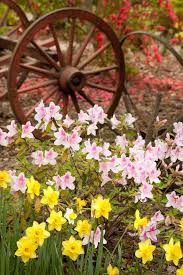 Doug S Photo Blog Wheel Of Time Summer Flowers Garden Magnolia Gardens Spring Landscape