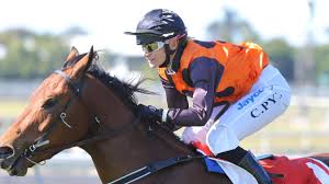 Queensland jockey Carly-Mae Pye loses her fight after trackwork fall | The  Courier Mail