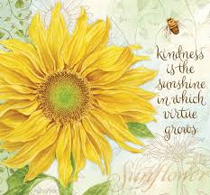 Lang Virtue Grows Recipe Card Album Wayfair Flower Quotes Sunflower Quotes Happy Sunday Quotes
