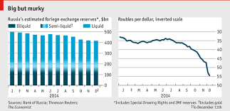 comments on russias foreign exchange reserves whats