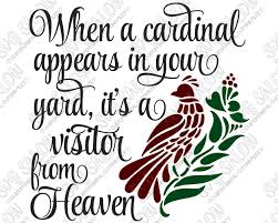 Cardinal Svg File Free Free Svg Cut Files Downloadable For Cricut Explore And Silhouette Cameo So You Can Use Them In Your Diy Crafts