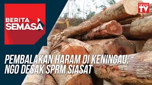 Pembalakan haram mampu menyumbang keapada terjadinya bencana alam. Sinar Harian Pembalakan Haram Di Keningau Ngo Desak Facebook