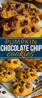 These Pumpkin Chocolate Chip Cookies Are Soft And Chewy With Loads Of Pumpkin Flavor Pumpkin Chocolate Chip Cookies Pumpkin Chocolate Chips Pumpkin Chocolate