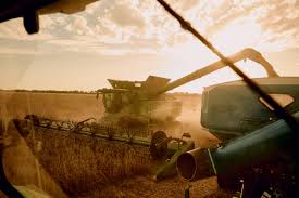 Image result for tbn:cRxpWML3C6TQFM::farm3.static.flickr.com/2382/2420623259_e3c8cd4fd8.jpg