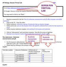 Ap Biology Macromolecules And Enzymes Bundled Unit