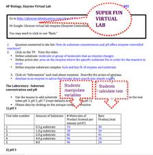 Ap Biology Macromolecules And Enzymes Bundled Unit