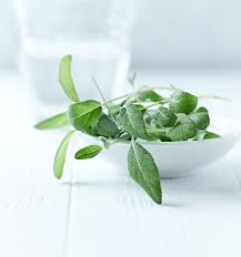 Cuisiner Avec La Sauge Nos Recettes Sauge Cuisine Herbes De Cuisine Sauge Recette