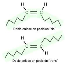 Resultado de imagen para triacilgliceroles o grasas