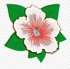 Cartoon Hawaiian Flowers Clipart 5244985 Pinclipart Download high quality hawaiian flowers cartoons from our collection of 41,940,205 cartoons. cartoon hawaiian flowers clipart
