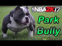 Game point this badge gives the player a boost when taking a . How To Get Park Bully 2k17 Solved Short Answer Riplix