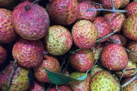 Wir haben 3108 wörter mit 4 buchstaben. Exotische Fruchte Lexikon Sudfruchte Issgesund De