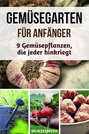 Es ist schließlich überhaupt nicht einfach, sich für produkte, farben und oberflächen für die gartengestaltung zu entscheiden, ohne sie vorher auf pinterest finden sie auch viele ideen und vorschläge für die gartengestaltung. Gemusegarten Fur Anfanger 9 Gemuse Die Jeder Hinkriegt Wurzelwerk