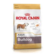 His eating habits must always be on schedule. Pet Heaven Buy Royal Canin Online In South Africa Royal Canin English Bulldog Adult Dog Food Pet Heaven Online Pet Store