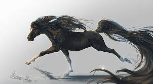 Hd Wallpaper Mane 4k 5k Black White Background Hooves Art Galloping Wallpaper Flare Download 16 hooves free vectors. wallpaperflare