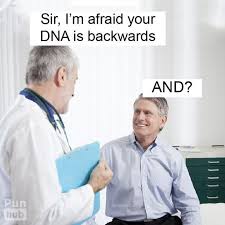 Pin On Funny